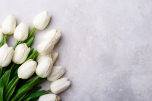 10 Flores Mais Procuradas do Momento