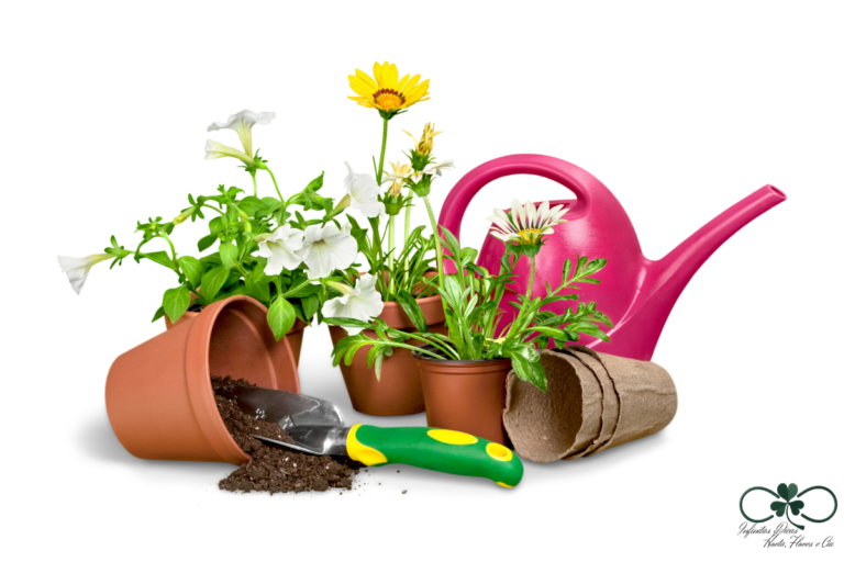 produtos para cuidar de plantas em casa