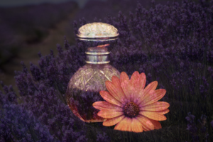 03 Plantas com Flores Perfumadas
