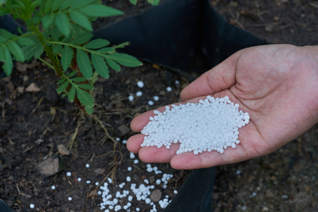 Melhor Adubo para Plantas