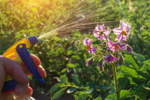 Inseticidas Naturais para Plantas