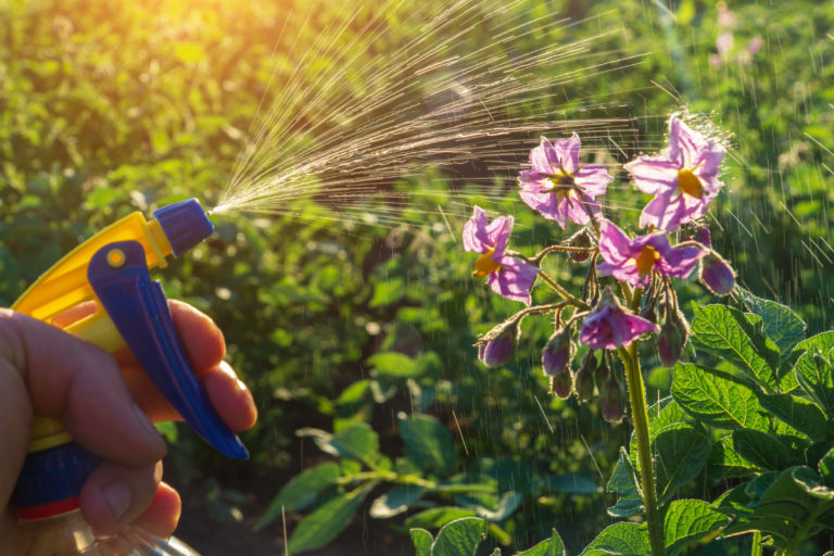Inseticidas Naturais para Plantas
